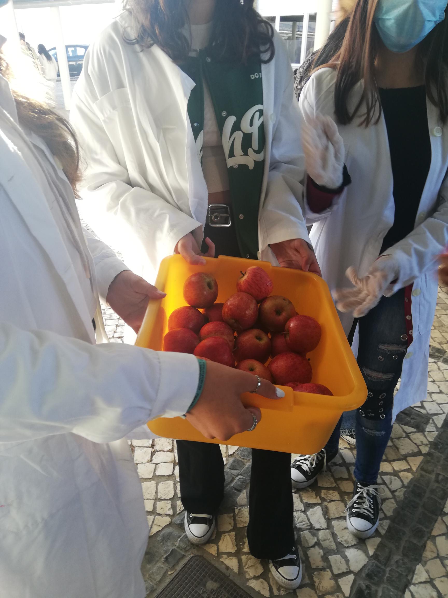 Dia da Alimentação