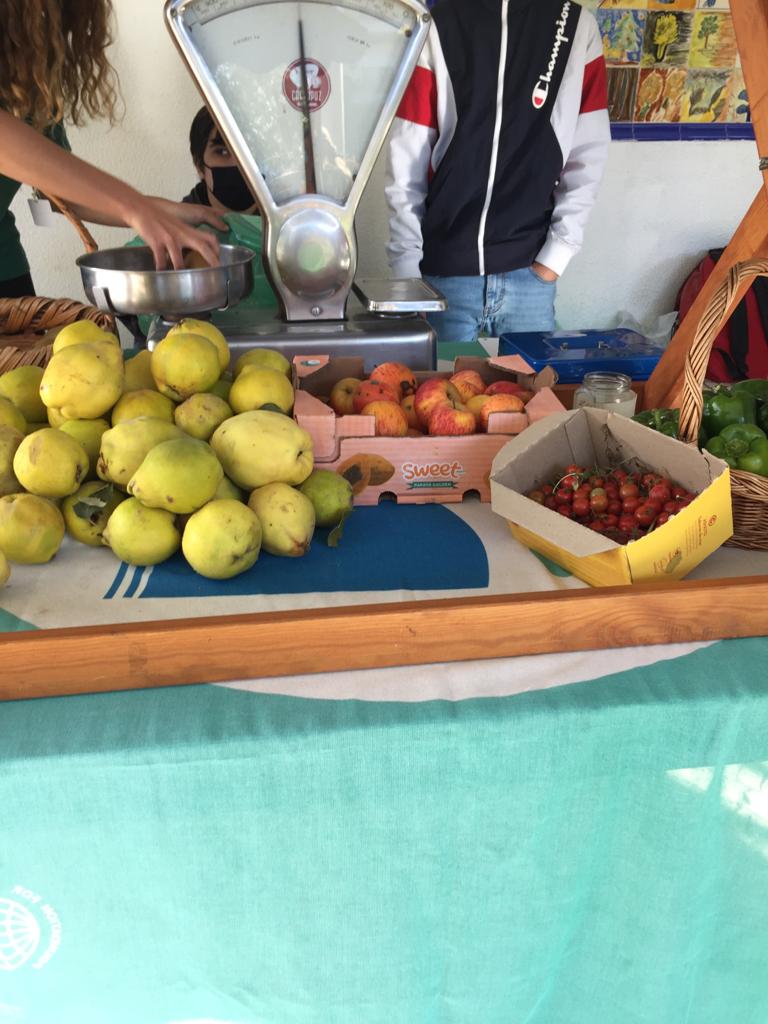Dia da Alimentação